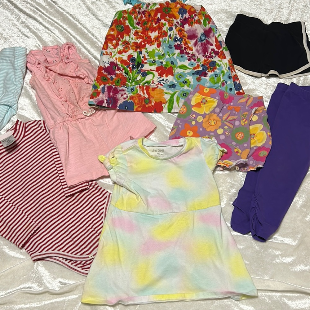 Lot of 12-18 month Baby Girl Clothes